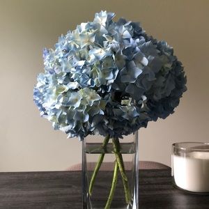 Meet your Posher, Irina